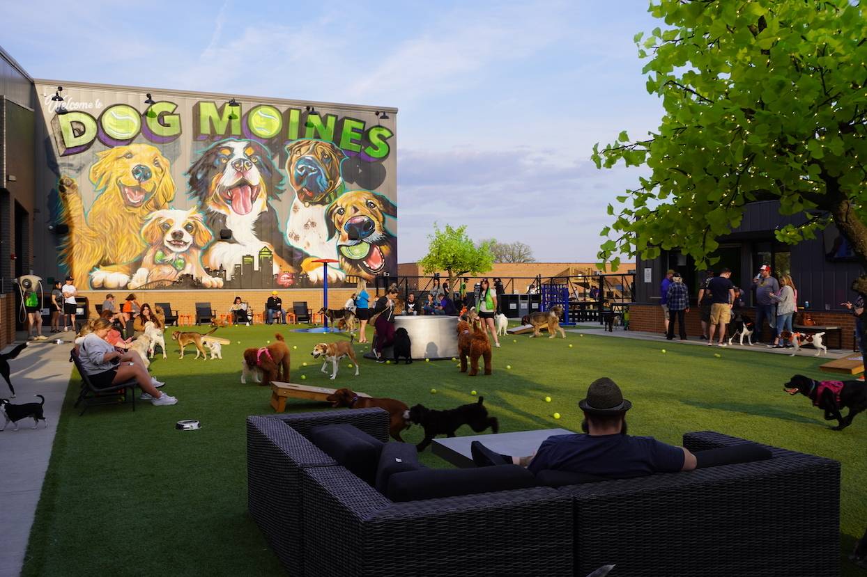 Paws & Pints dog park and bar